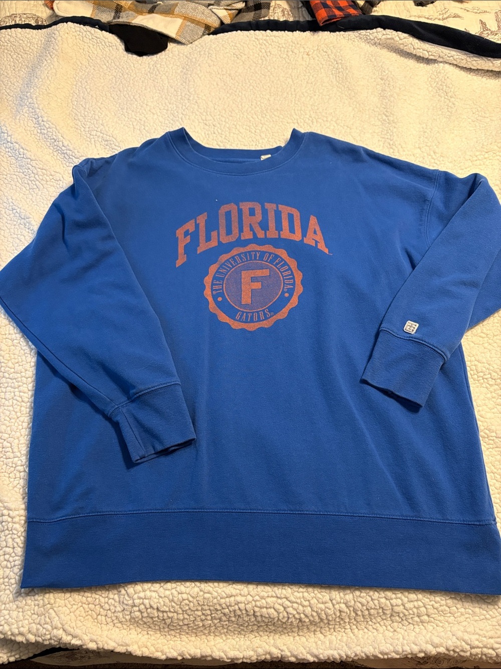 American Eagle Outfitters Blue Crewneck Sweatshirt with Orange Florida Graphic